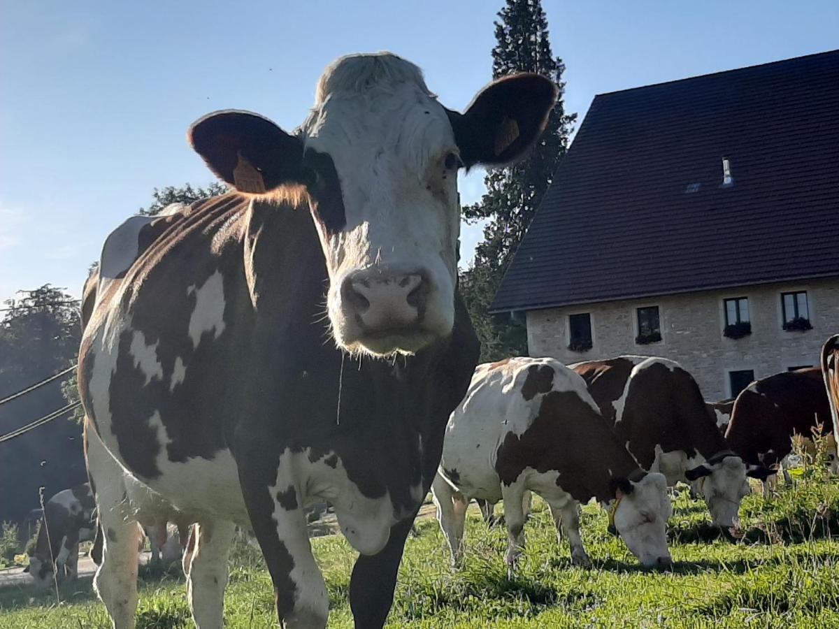 Gite Chez La So ! Avec Visite A La Ferme Arcon  Dış mekan fotoğraf