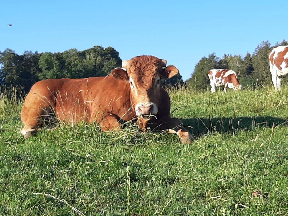 Gite Chez La So ! Avec Visite A La Ferme Arcon  Dış mekan fotoğraf